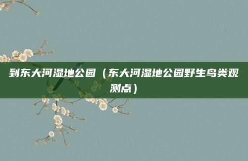 到东大河湿地公园(东大河湿地公园野生鸟类观测点)
