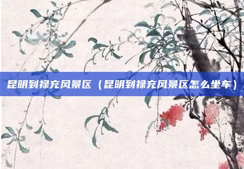 昆明到禄充风景区(昆明到禄充风景区怎么坐车)