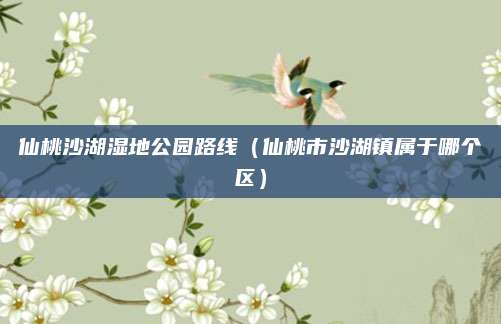 仙桃沙湖湿地公园路线（仙桃市沙湖镇属于哪个区）