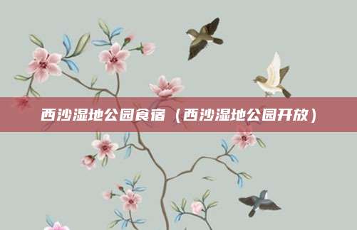 西沙湿地公园食宿(西沙湿地公园开放)