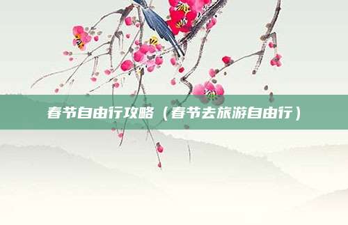 春节自由行攻略（春节去旅游自由行）