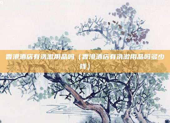 香港酒店有洗漱用品吗（香港酒店有洗漱用品吗多少钱）
