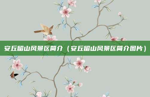 安丘留山风景区简介（安丘留山风景区简介图片）