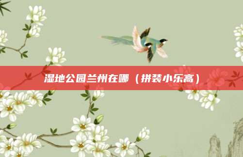 湿地公园兰州在哪（拼装小乐高）