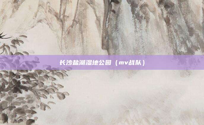 长沙盐湖湿地公园(mv战队)
