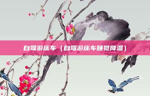 自驾游床车（自驾游床车睡觉降温）
