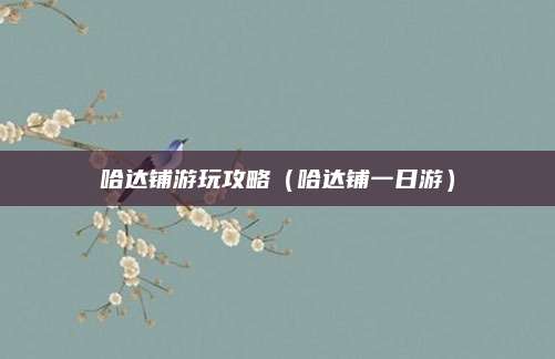 哈达铺游玩攻略(哈达铺一日游)
