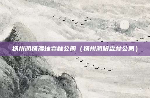 扬州润扬湿地森林公园(扬州润阳森林公园)