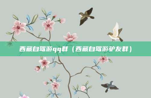 西藏自驾游qq群（西藏自驾游驴友群）