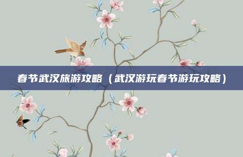 春节武汉旅游攻略(武汉游玩春节游玩攻略)