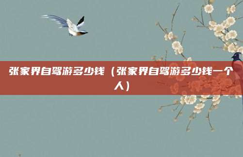 张家界自驾游多少钱（张家界自驾游多少钱一个人）