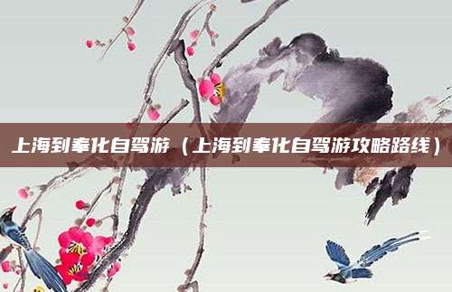 上海到奉化自驾游(上海到奉化自驾游攻略路线)