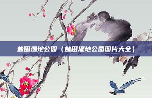 盐田湿地公园(盐田湿地公园图片大全)