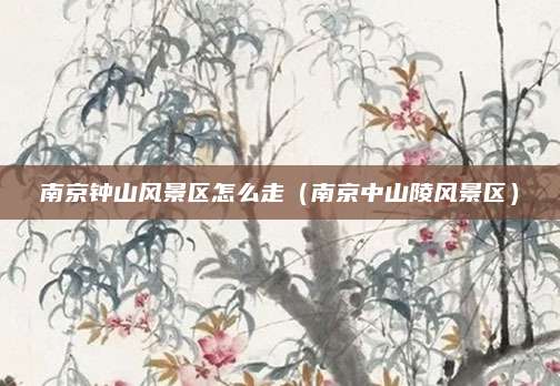 南京钟山风景区怎么走(南京中山陵风景区)