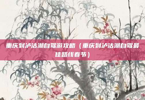 重庆到泸沽湖自驾游攻略（重庆到泸沽湖自驾最佳路线春节）