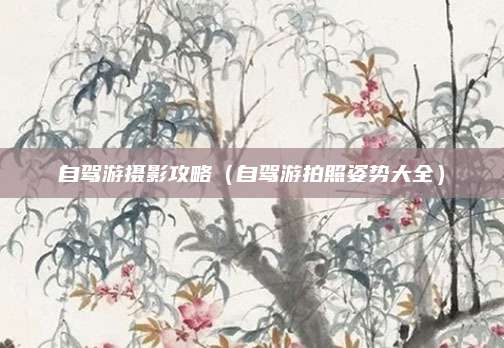自驾游摄影攻略(自驾游拍照姿势大全)