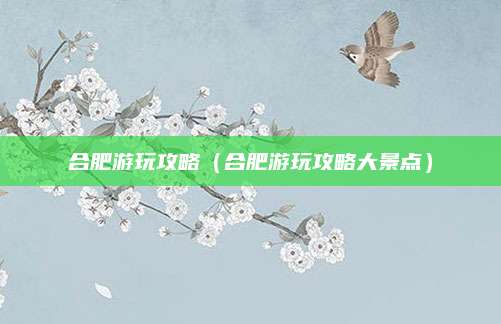 合肥游玩攻略（合肥游玩攻略大景点）