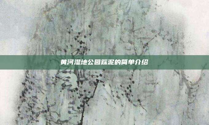 黄河湿地公园踩泥的简单介绍