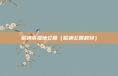 昭通市湿地公园（昭通公园规划）