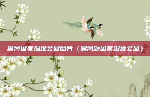 黑河国家湿地公园图片（黑河源国家湿地公园）