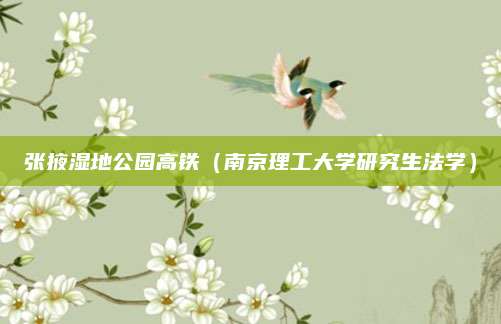 张掖湿地公园高铁（南京理工大学研究生法学）