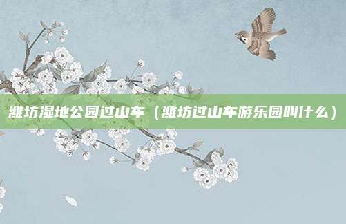 潍坊湿地公园过山车（潍坊过山车游乐园叫什么）
