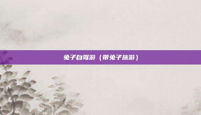 兔子自驾游（带兔子旅游）