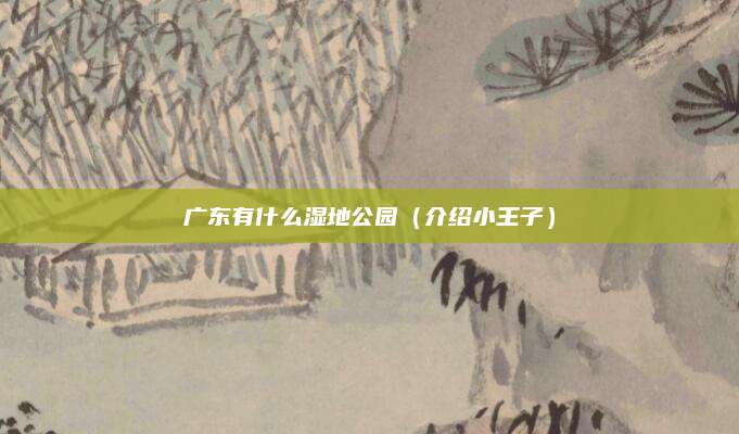 广东有什么湿地公园(介绍小王子)
