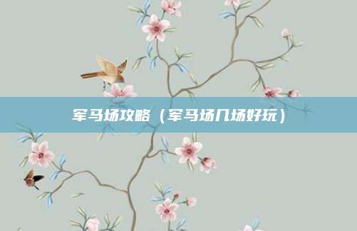 军马场攻略(军马场几场好玩)