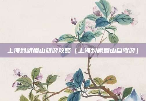 上海到峨眉山旅游攻略(上海到峨眉山自驾游)