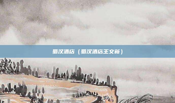 蜀汉酒店(蜀汉酒店王文新)