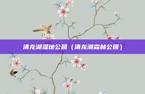 清龙湖湿地公园(清龙湖森林公园)