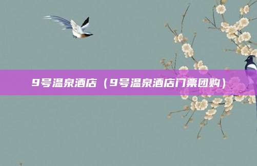 9号温泉酒店（9号温泉酒店门票团购）