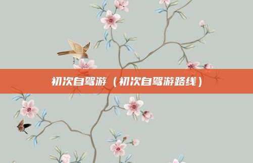 初次自驾游(初次自驾游路线)