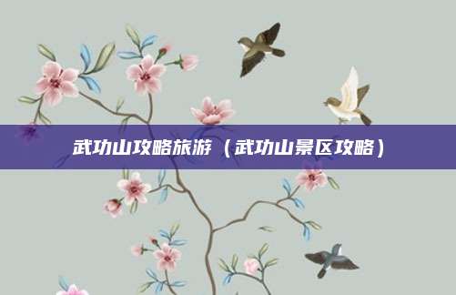 武功山攻略旅游（武功山景区攻略）