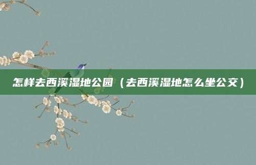 怎样去西溪湿地公园（去西溪湿地怎么坐公交）