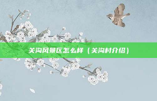 关沟风景区怎么样（关沟村介绍）
