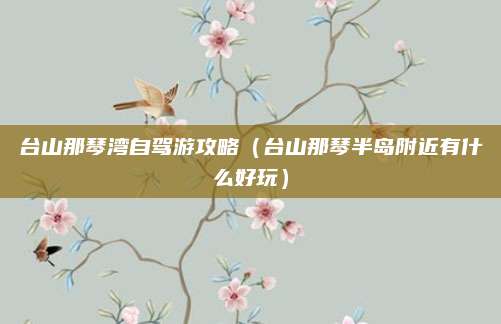 台山那琴湾自驾游攻略(台山那琴半岛附近有什么好玩)