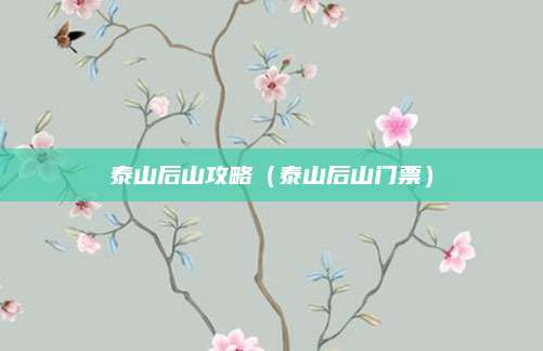 泰山后山攻略（泰山后山门票）