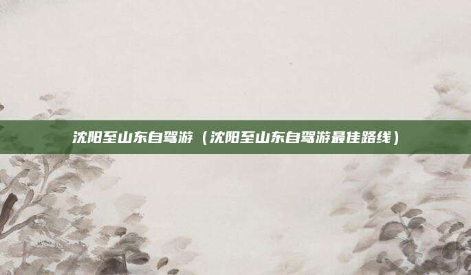 沈阳至山东自驾游（沈阳至山东自驾游最佳路线）