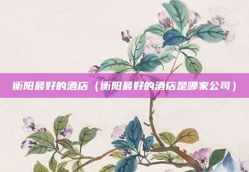 衡阳最好的酒店（衡阳最好的酒店是哪家公司）