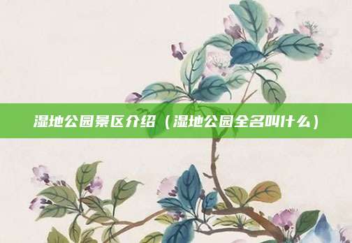 湿地公园景区介绍（湿地公园全名叫什么）