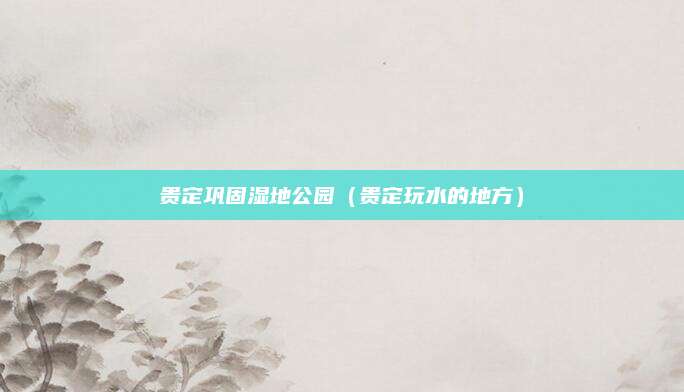 贵定巩固湿地公园(贵定玩水的地方)
