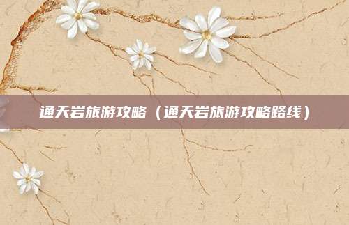 通天岩旅游攻略(通天岩旅游攻略路线)