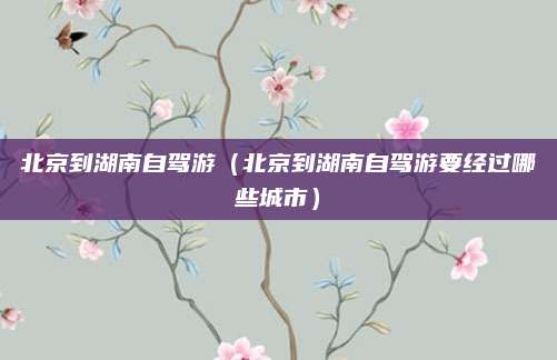 北京到湖南自驾游（北京到湖南自驾游要经过哪些城市）