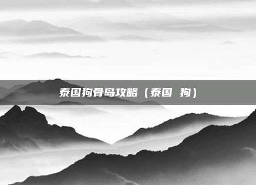 泰国狗骨岛攻略（泰国 狗）