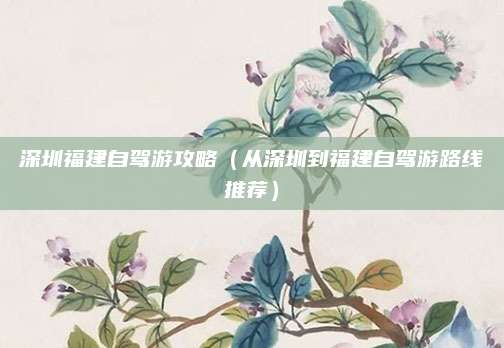 深圳福建自驾游攻略（从深圳到福建自驾游路线推荐）