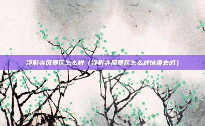 净影寺风景区怎么样（净影寺风景区怎么样值得去吗）