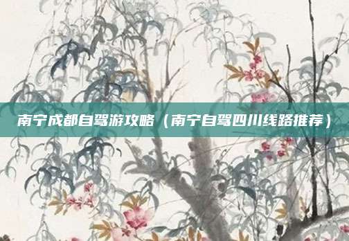 南宁成都自驾游攻略（南宁自驾四川线路推荐）