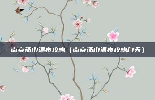 南京汤山温泉攻略（南京汤山温泉攻略白天）